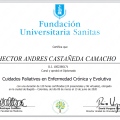 Acercar imagen: certificate 5