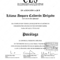 Acercar imagen: certificate 1