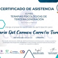 Acercar imagen: certificate 3