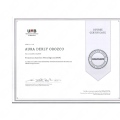 Acercar imagen: certificate 5