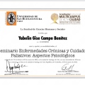 Acercar imagen: certificate 7