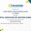 Acercar imagen: certificate 49