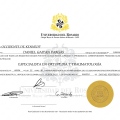 Acercar imagen: certificate 3
