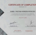 Acercar imagen: certificate 3