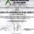 Acercar imagen: certificate 2