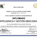 Acercar imagen: certificate 1