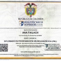 Acercar imagen: certificate 2