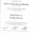 Acercar imagen: certificate 8