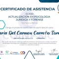 Acercar imagen: certificate 1