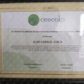 Acercar imagen: certificate 5