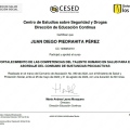 Acercar imagen: certificate 4