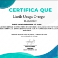 Acercar imagen: certificate 13