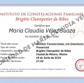 Acercar imagen: certificate 4