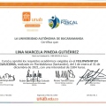 Acercar imagen: certificate 2