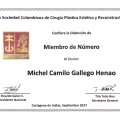 Acercar imagen: certificate 2