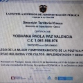 Acercar imagen: certificate 13