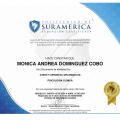 Acercar imagen: certificate 14
