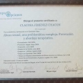 Acercar imagen: certificate 2