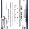 Acercar imagen: certificate 2