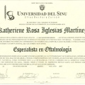 Acercar imagen: certificate 3