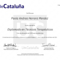 Acercar imagen: certificate 5