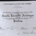 Acercar imagen: certificate 2