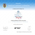 Acercar imagen: certificate 13