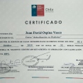 Acercar imagen: certificate 5