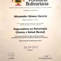 Acercar imagen: certificate 5