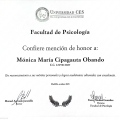 Acercar imagen: certificate 7