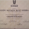 Acercar imagen: certificate 2