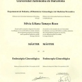 Acercar imagen: certificate 3