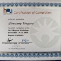 Acercar imagen: certificate 12