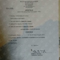 Acercar imagen: certificate 28