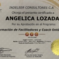 Acercar imagen: certificate 3