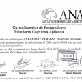 Acercar imagen: certificate 11