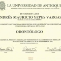 Acercar imagen: certificate 2