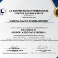 Acercar imagen: certificate 2