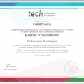 Acercar imagen: certificate 8