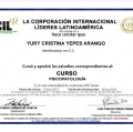 Acercar imagen: certificate 6
