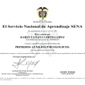 Acercar imagen: certificate 2