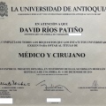 Acercar imagen: certificate 2