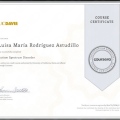 Acercar imagen: certificate 3