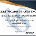 Acercar imagen: certificate 6