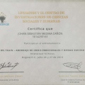 Acercar imagen: certificate 4