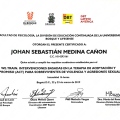 Acercar imagen: certificate 5