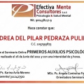 Acercar imagen: certificate 3