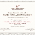 Acercar imagen: certificate 1