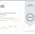 Acercar imagen: certificate 2