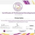 Acercar imagen: certificate 2